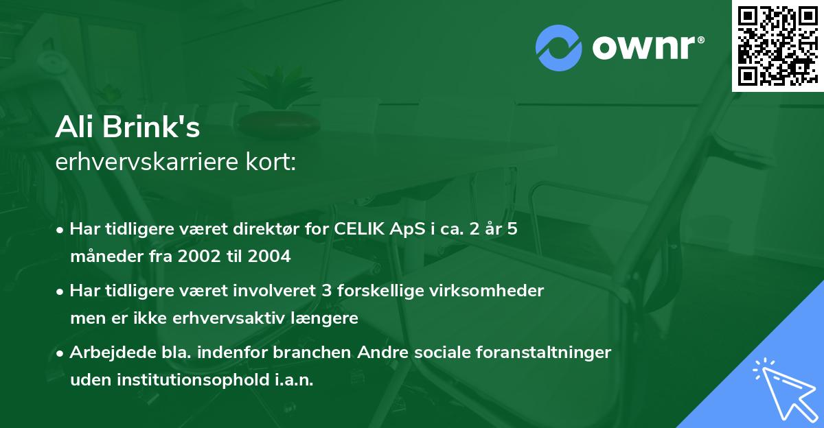 Ali Brink's erhvervskarriere kort