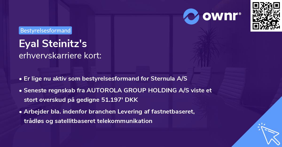 Eyal Steinitz's erhvervskarriere kort