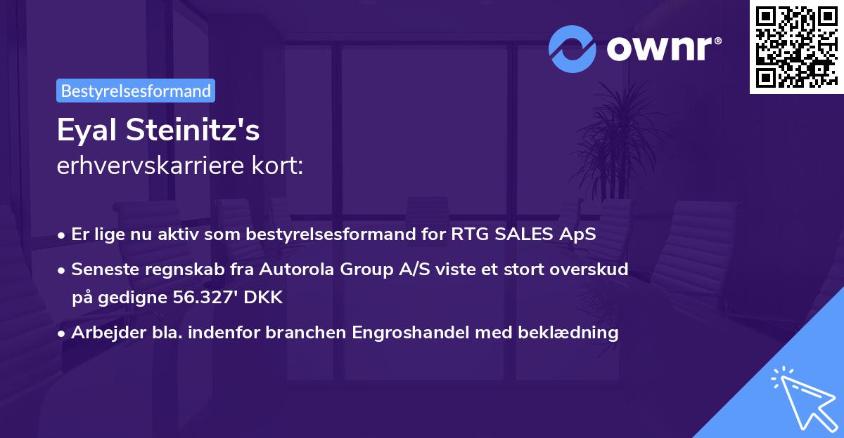 Eyal Steinitz's erhvervskarriere kort