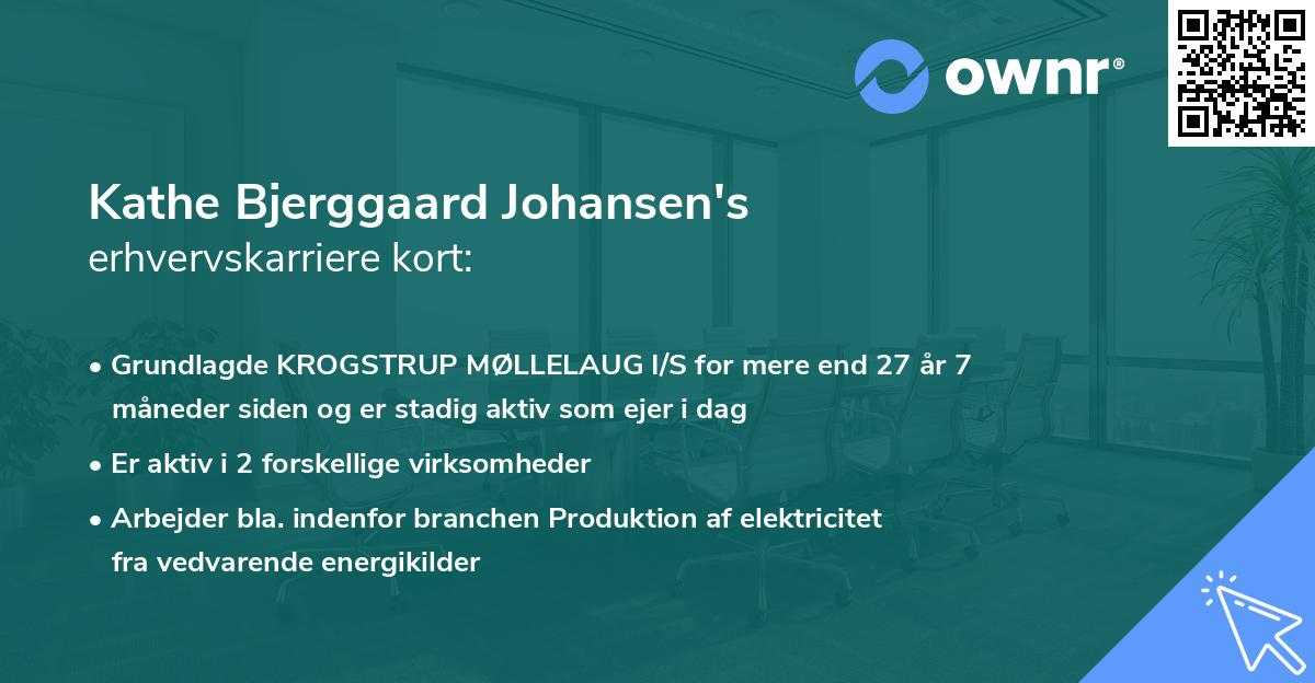 Kathe Bjerggaard Johansen's erhvervskarriere kort