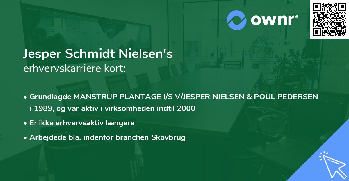 Jesper Schmidt Nielsen's erhvervskarriere kort