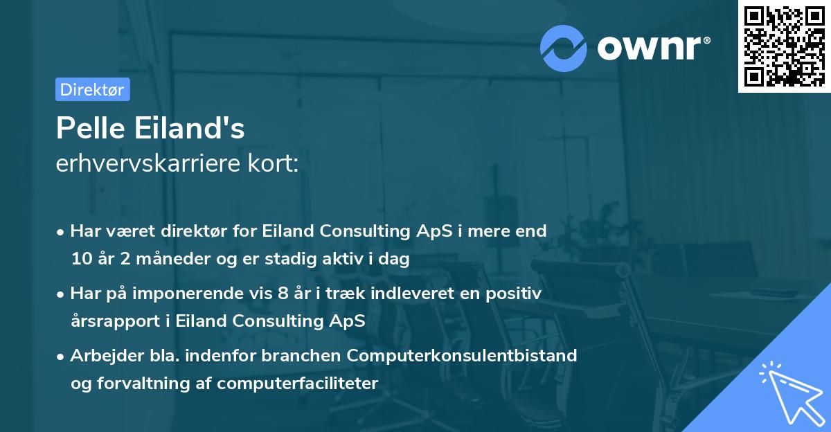 Pelle Eiland's erhvervskarriere kort