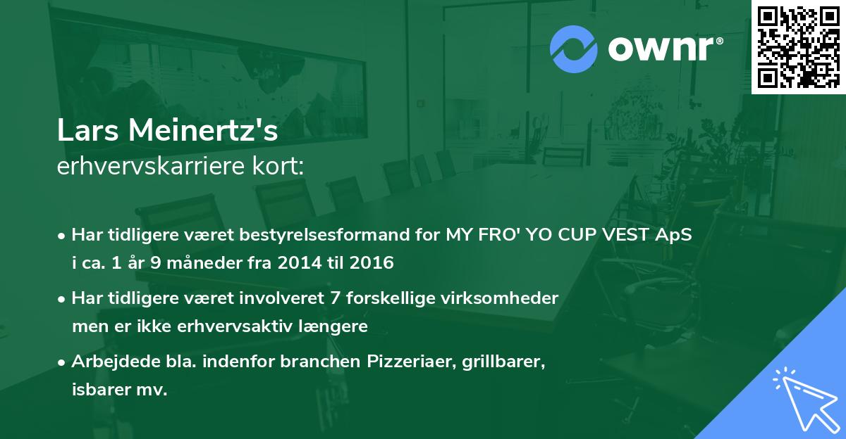 Lars Meinertz's erhvervskarriere kort