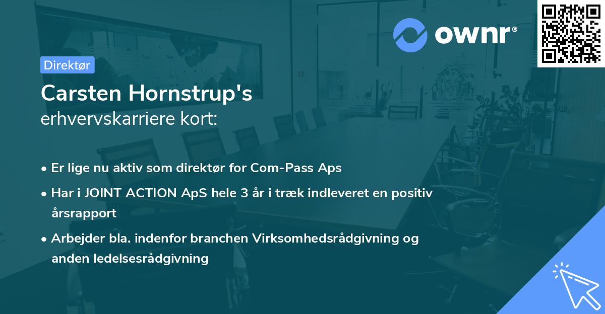 Carsten Hornstrup's erhvervskarriere kort