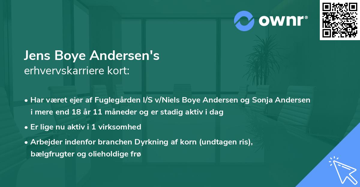 Jens Boye Andersen's erhvervskarriere kort