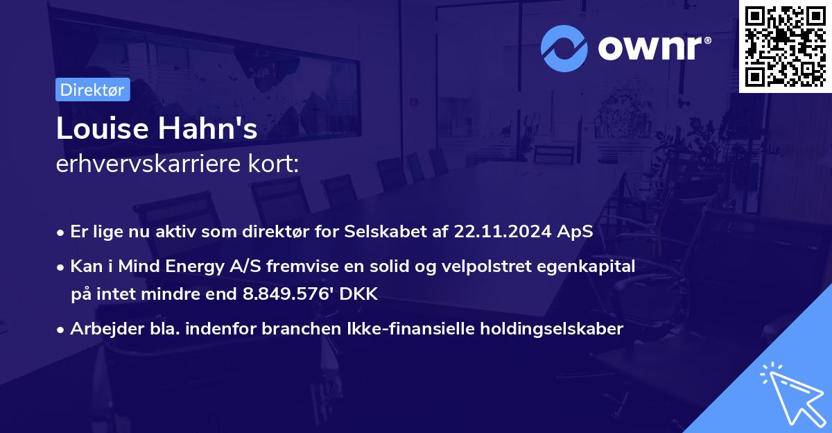 Louise Hahn's erhvervskarriere kort