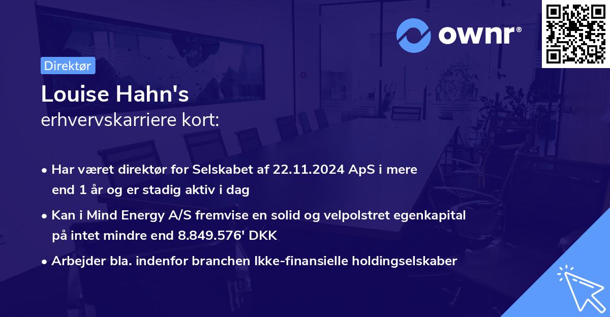 Louise Hahn's erhvervskarriere kort
