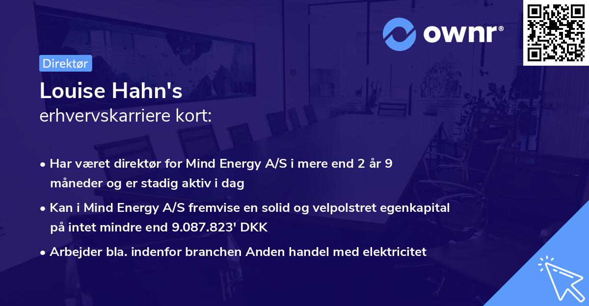 Louise Hahn's erhvervskarriere kort