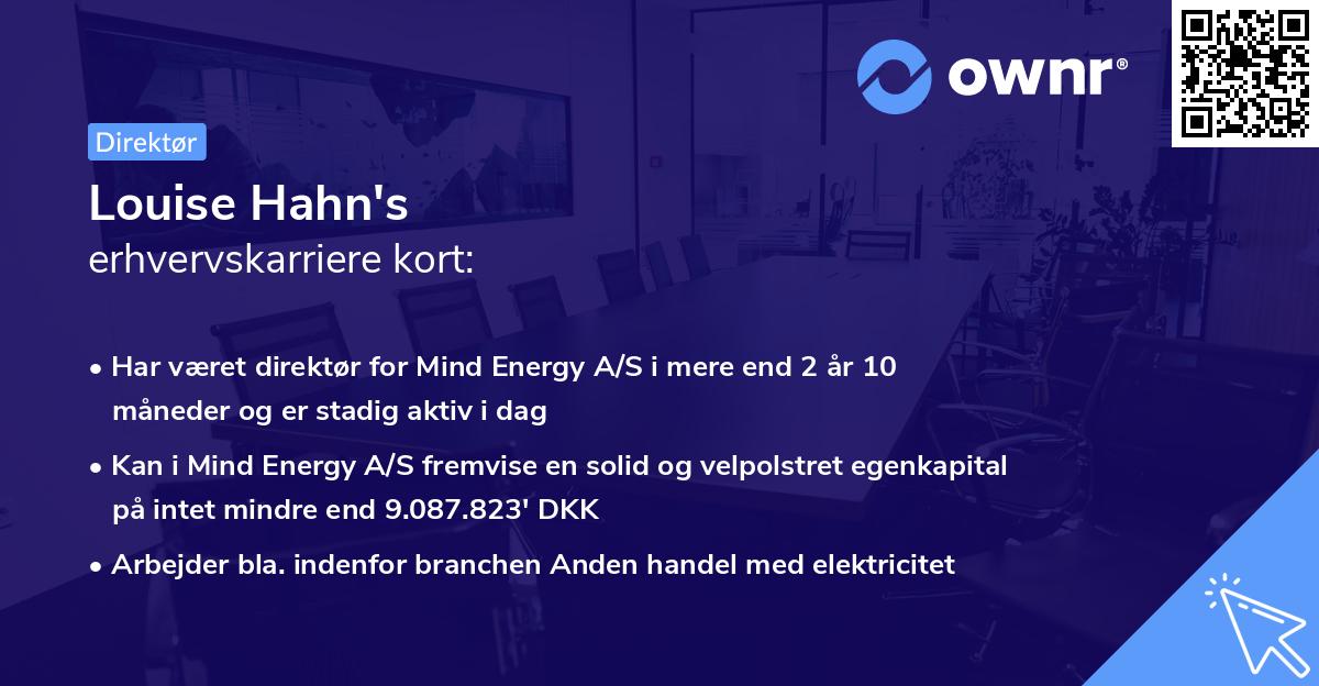 Louise Hahn's erhvervskarriere kort