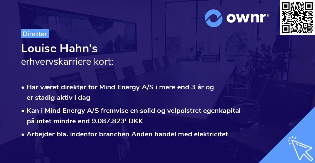 Louise Hahn's erhvervskarriere kort