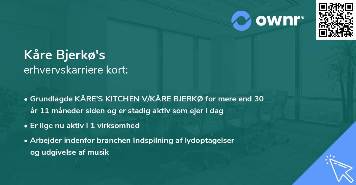 Kåre Bjerkø's erhvervskarriere kort