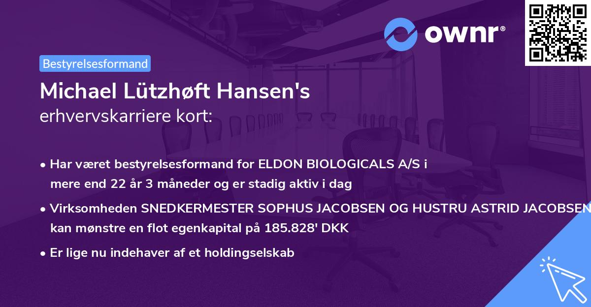 Michael Lützhøft Hansen's erhvervskarriere kort