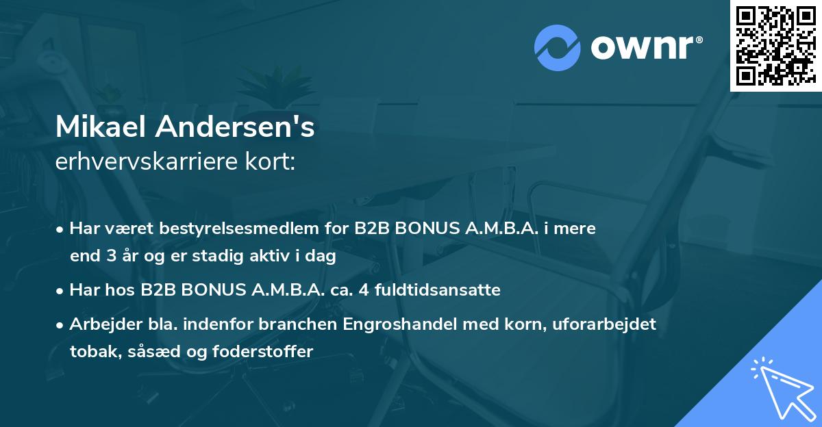 Mikael Andersen's erhvervskarriere kort