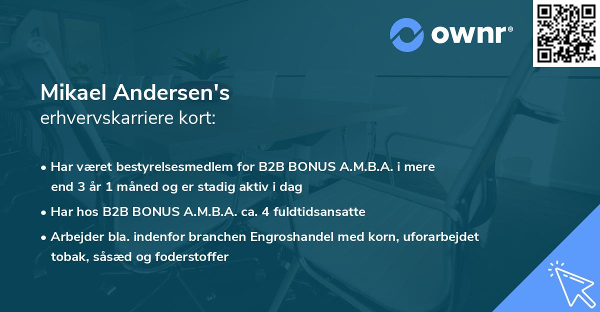 Mikael Andersen's erhvervskarriere kort