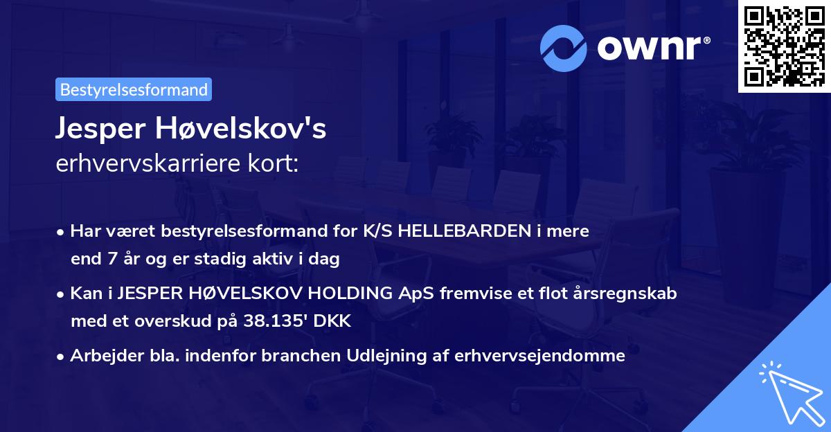 Jesper Høvelskov's erhvervskarriere kort