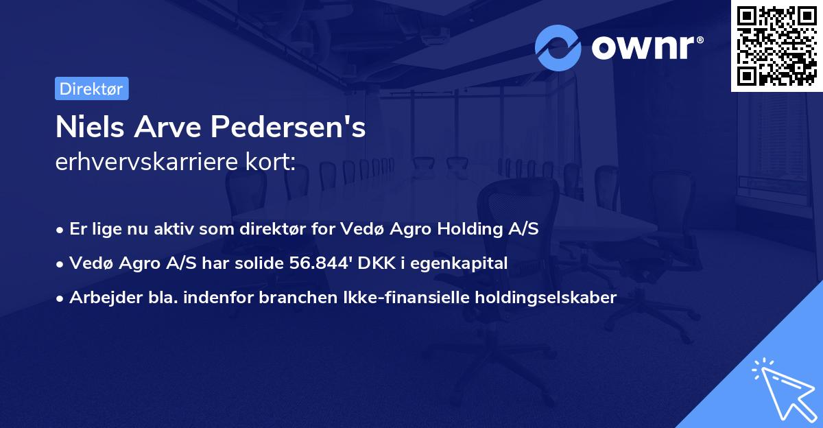 Niels Arve Pedersen's erhvervskarriere kort