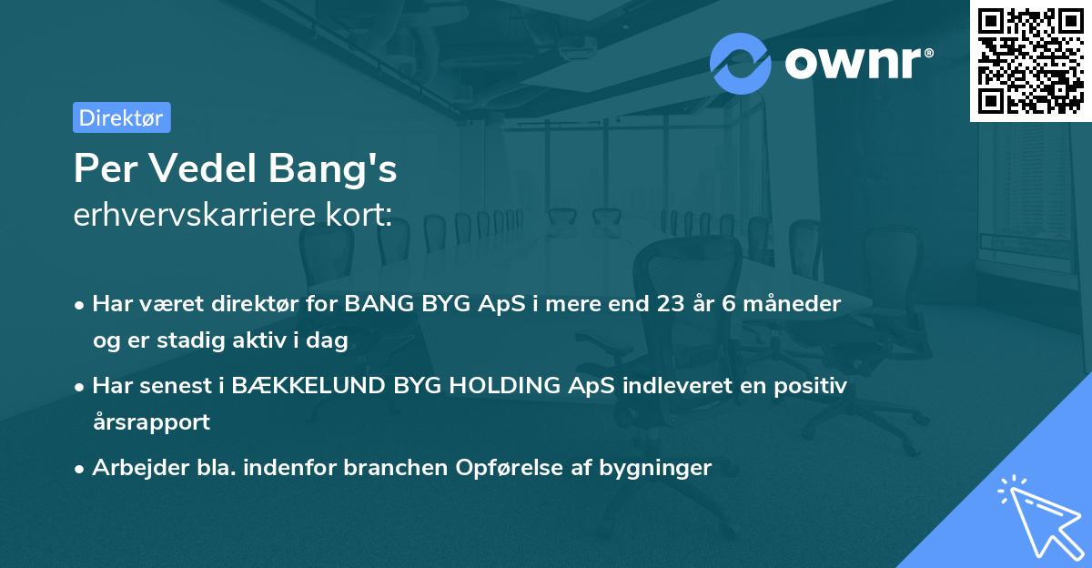 Per Vedel Bang's erhvervskarriere kort