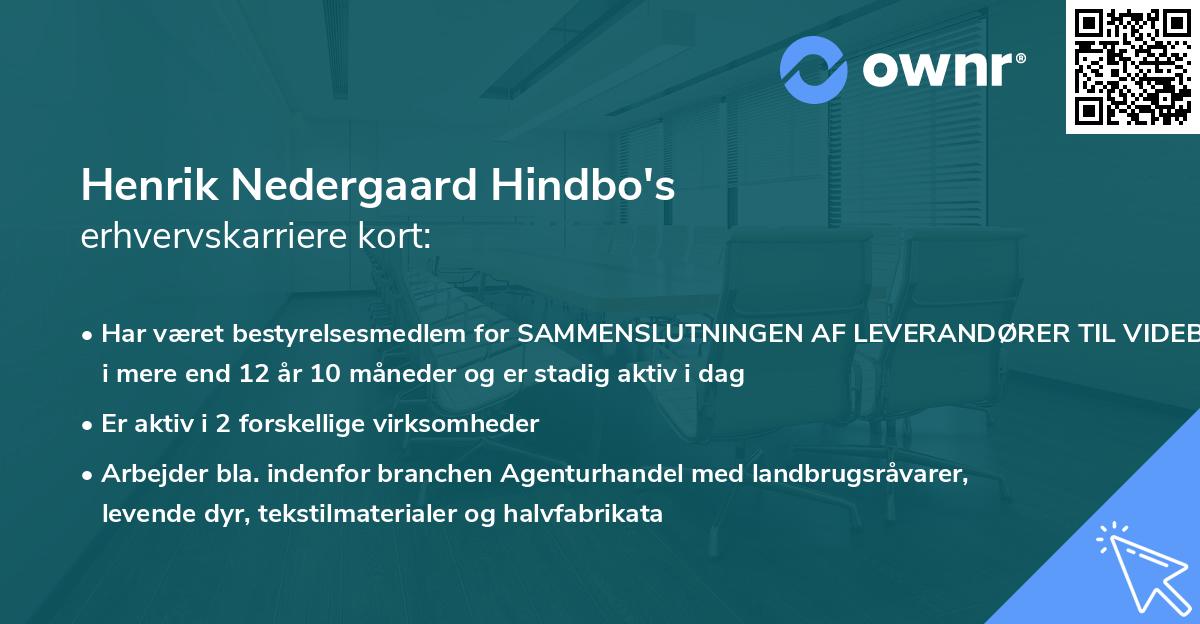 Henrik Nedergaard Hindbo's erhvervskarriere kort