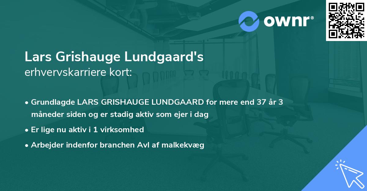 Lars Grishauge Lundgaard's erhvervskarriere kort