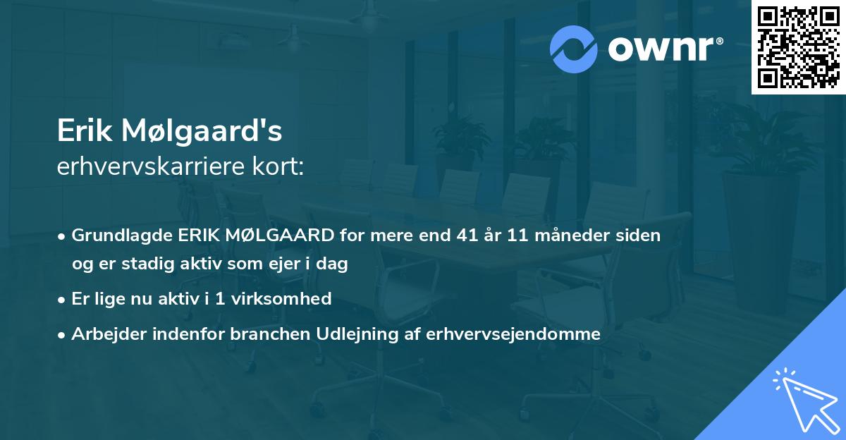Erik Mølgaard's erhvervskarriere kort