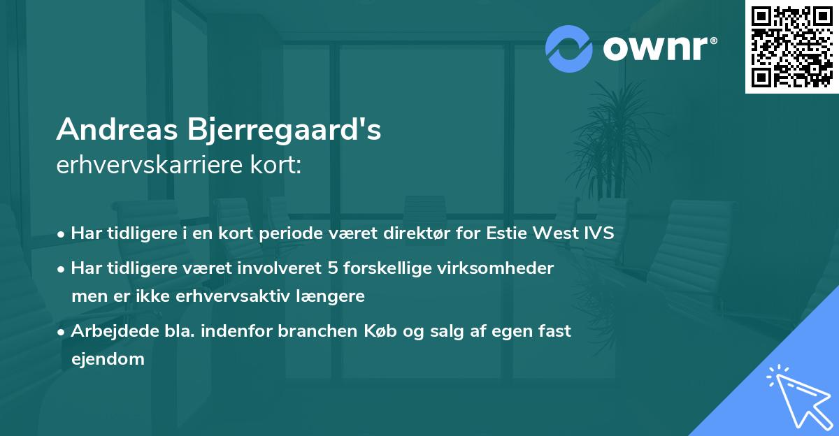 Andreas Bjerregaard's erhvervskarriere kort