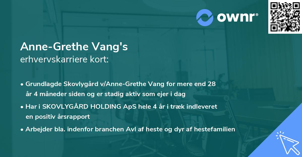 Anne-Grethe Vang's erhvervskarriere kort