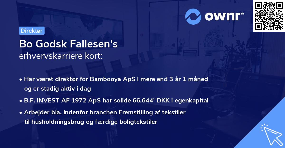 Bo Godsk Fallesen's erhvervskarriere kort