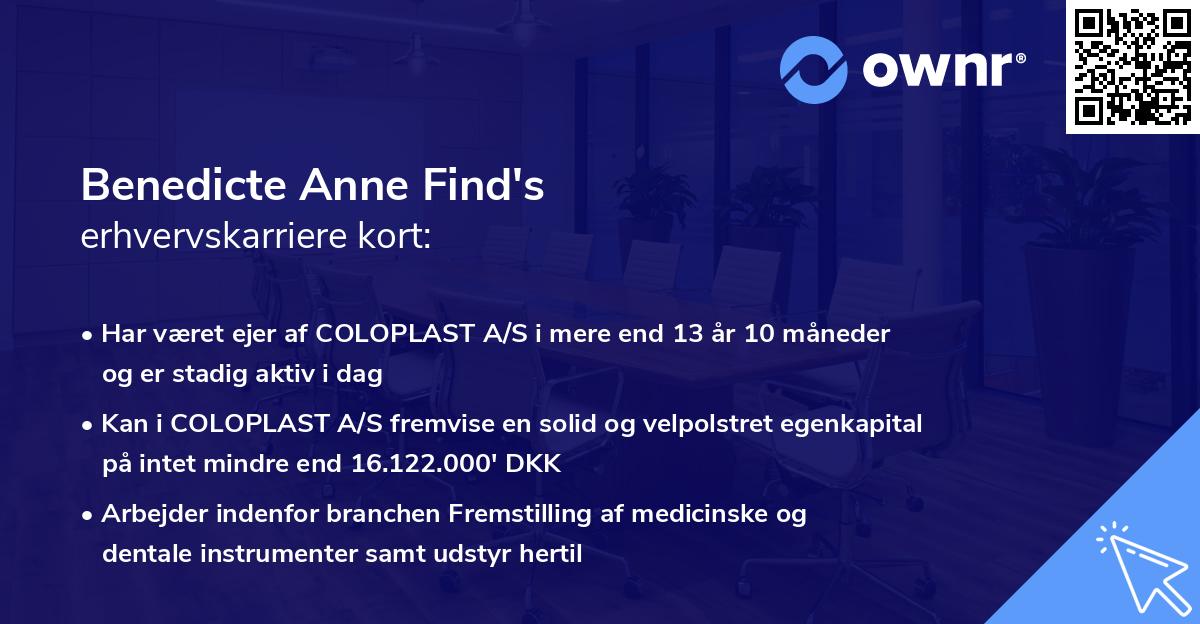 Benedicte Anne Find's erhvervskarriere kort