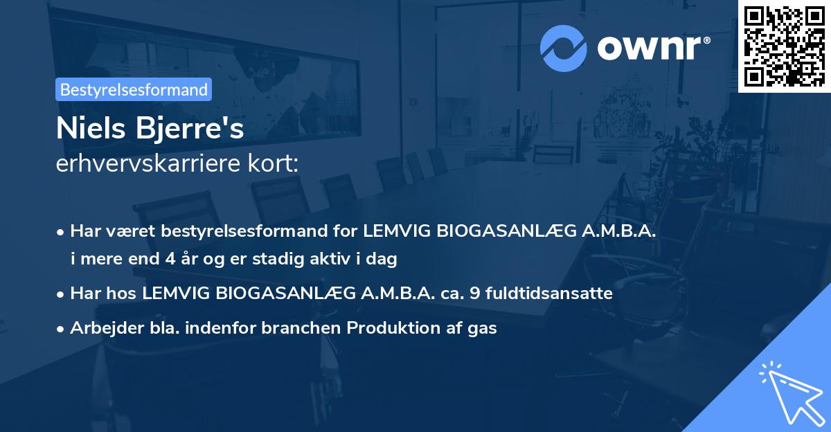 Niels Bjerre's erhvervskarriere kort