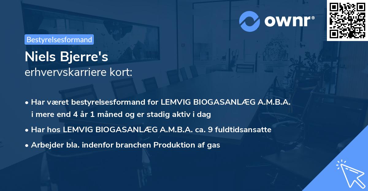 Niels Bjerre's erhvervskarriere kort
