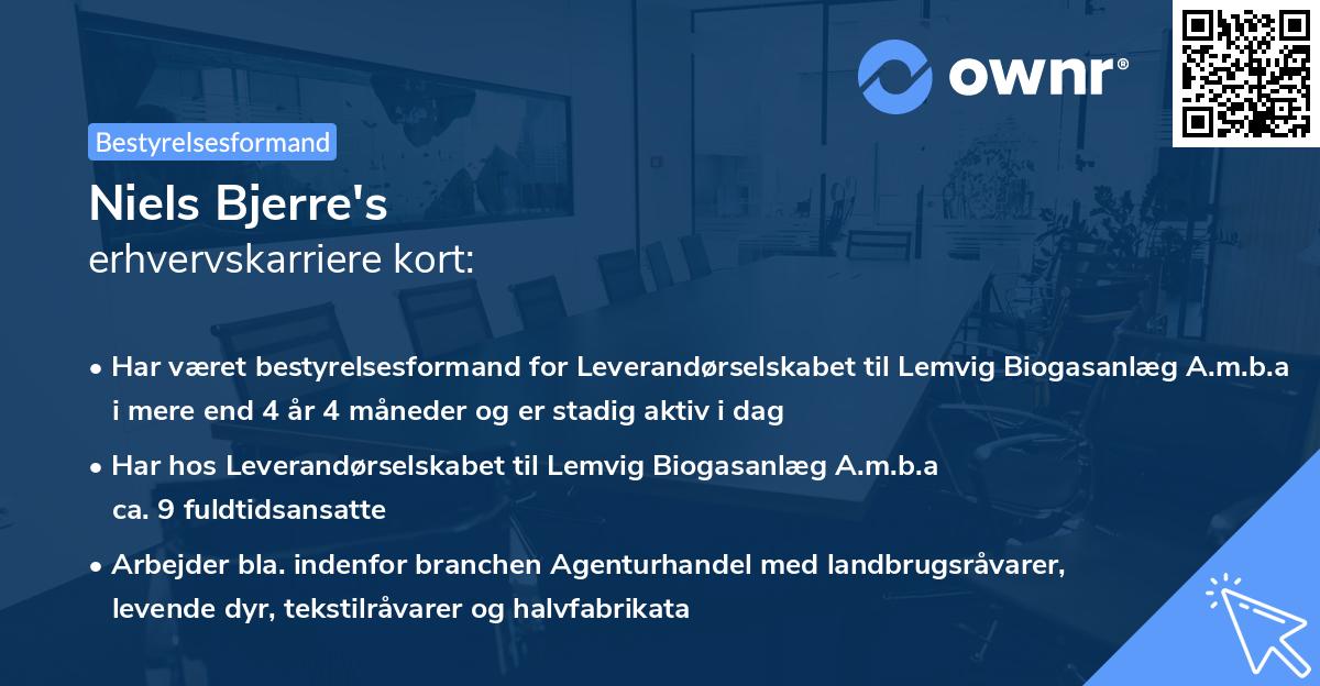 Niels Bjerre's erhvervskarriere kort