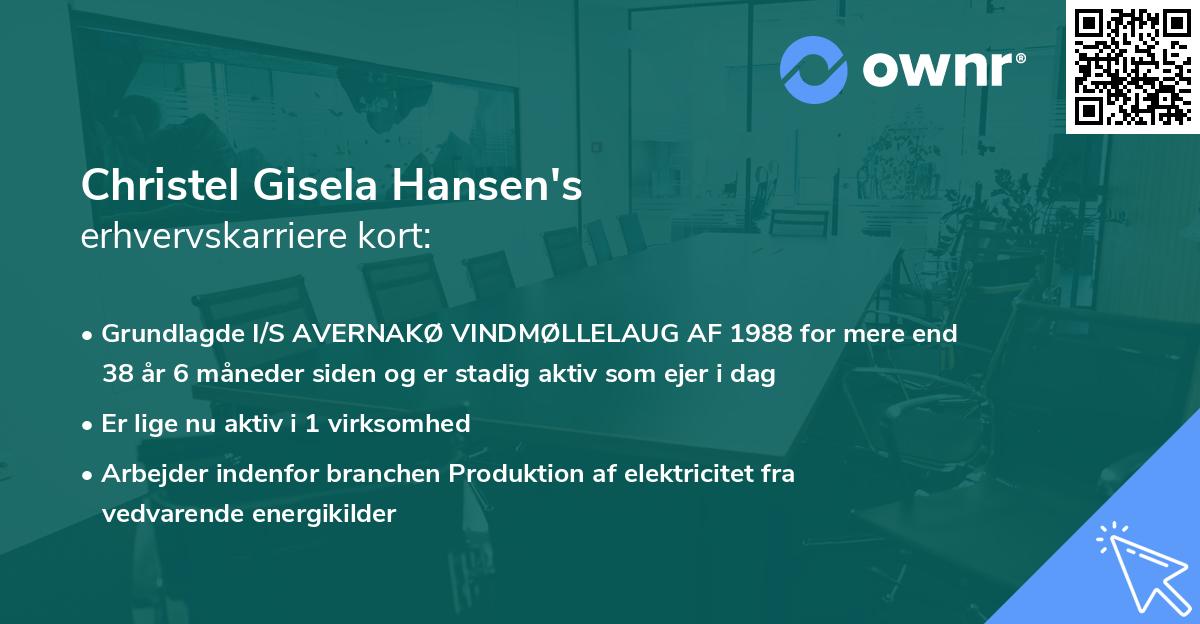 Christel Gisela Hansen's erhvervskarriere kort