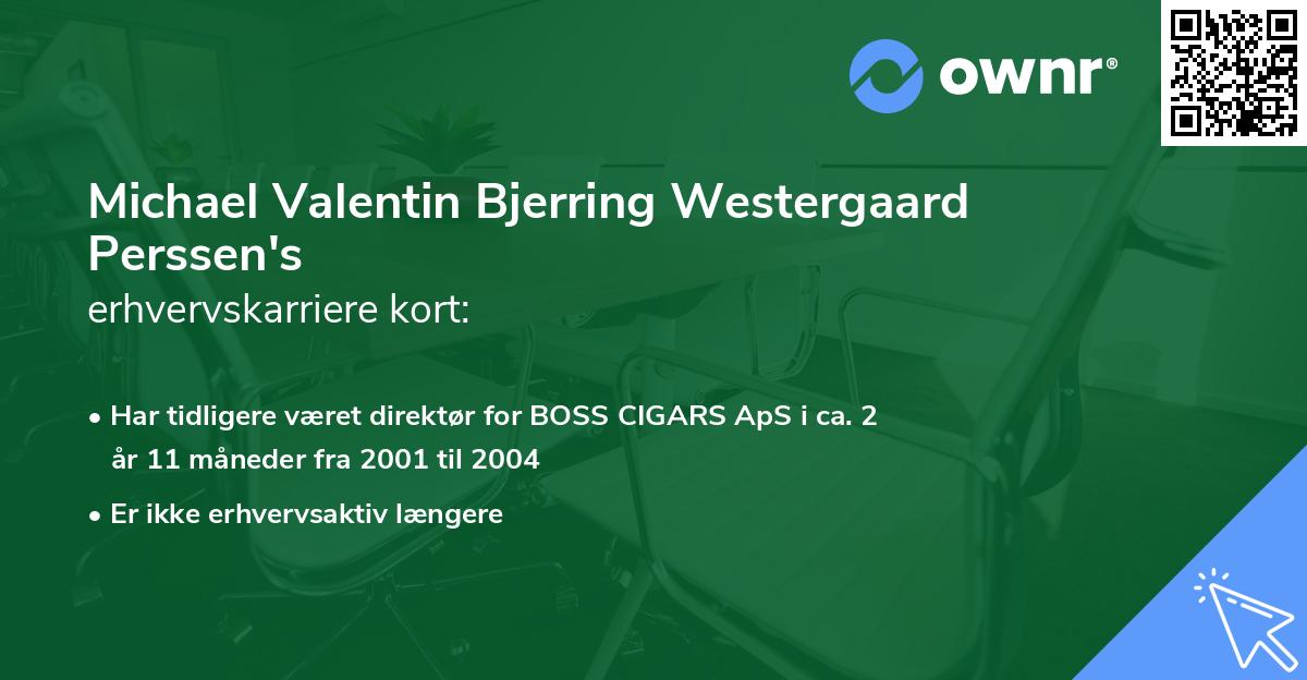 Michael Valentin Bjerring Westergaard Perssen's erhvervskarriere kort
