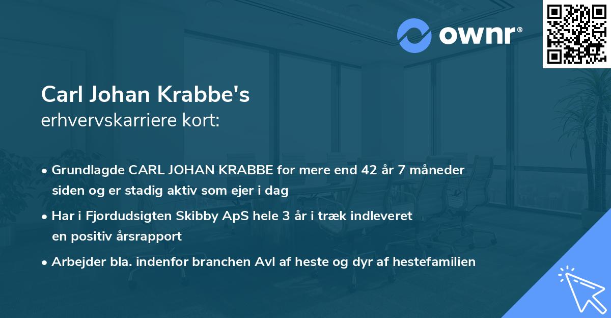 Carl Johan Krabbe's erhvervskarriere kort