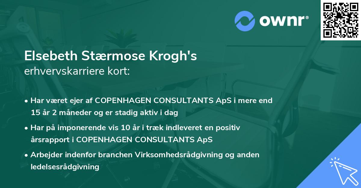 Elsebeth Stærmose Krogh's erhvervskarriere kort