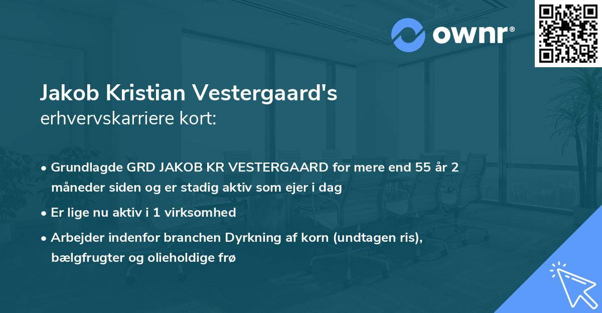 Jakob Kristian Vestergaard's erhvervskarriere kort