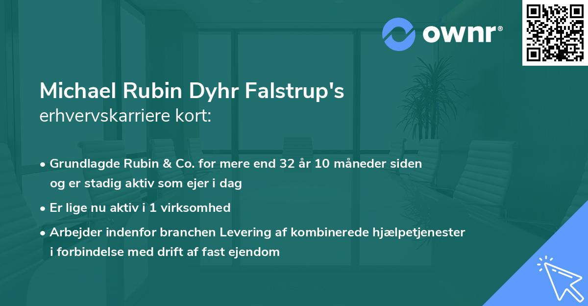 Michael Rubin Dyhr Falstrup's erhvervskarriere kort