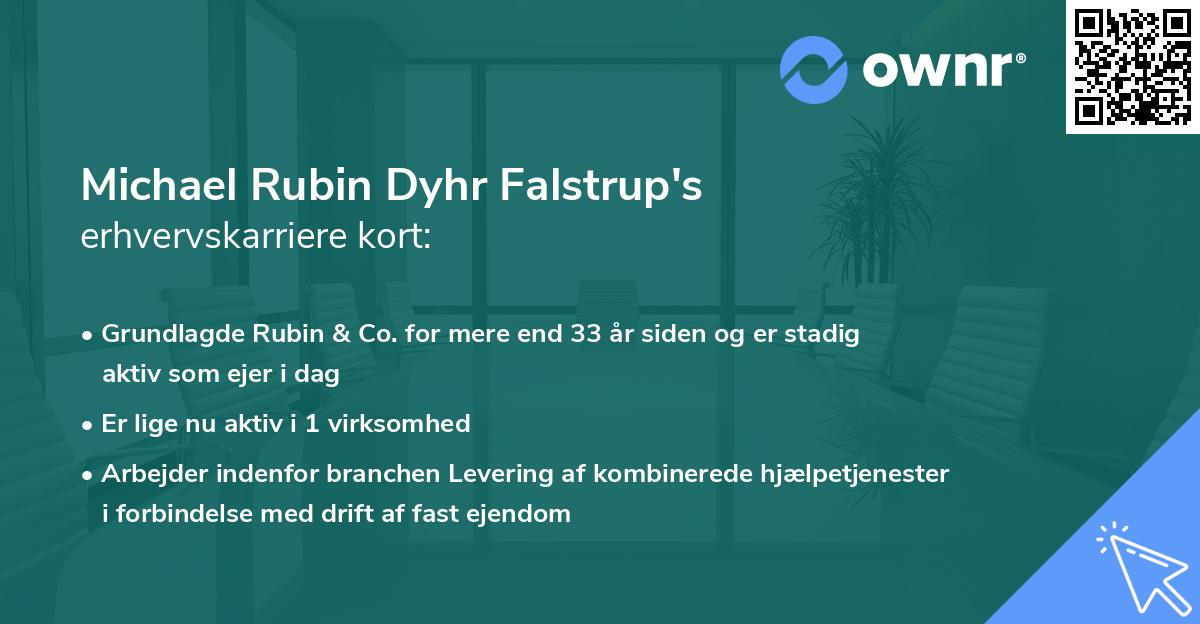 Michael Rubin Dyhr Falstrup's erhvervskarriere kort