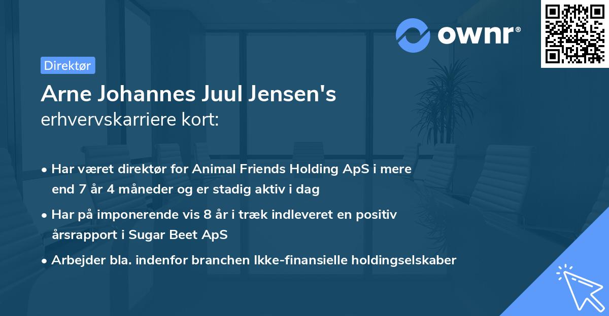 Arne Johannes Juul Jensen's erhvervskarriere kort