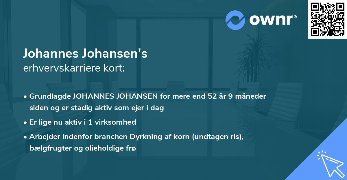 Johannes Johansen's erhvervskarriere kort