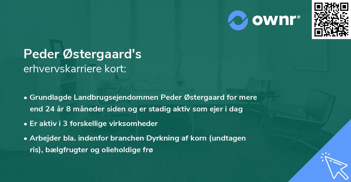 Peder Østergaard's erhvervskarriere kort