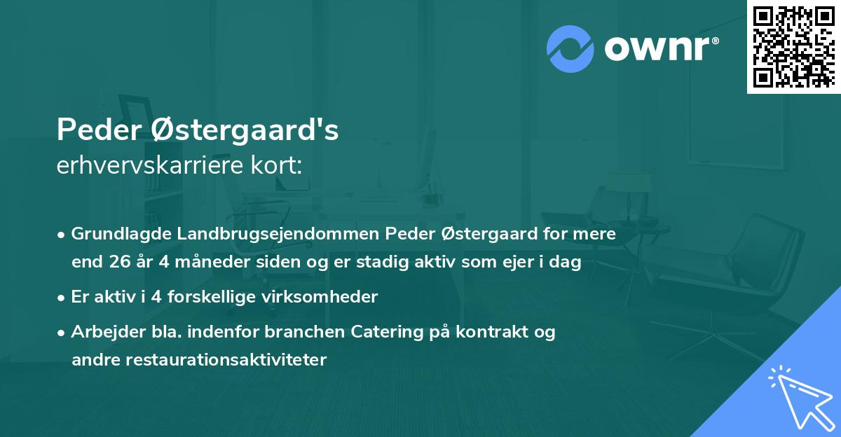 Peder Østergaard's erhvervskarriere kort