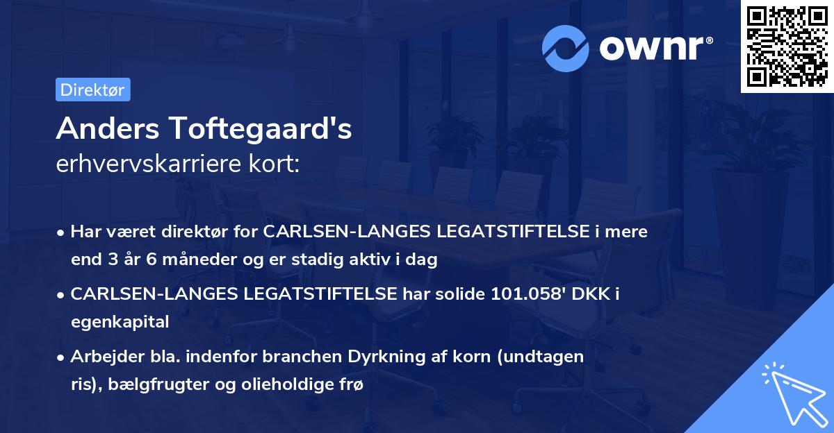 Anders Toftegaard's erhvervskarriere kort