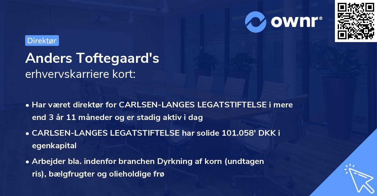 Anders Toftegaard's erhvervskarriere kort