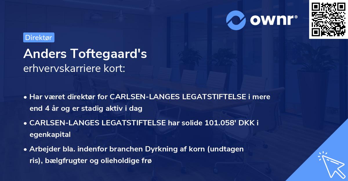 Anders Toftegaard's erhvervskarriere kort