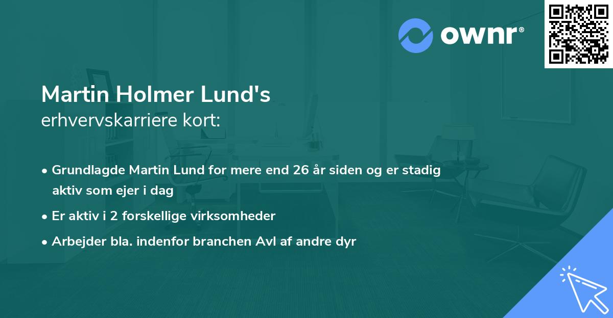 Martin Holmer Lund's erhvervskarriere kort
