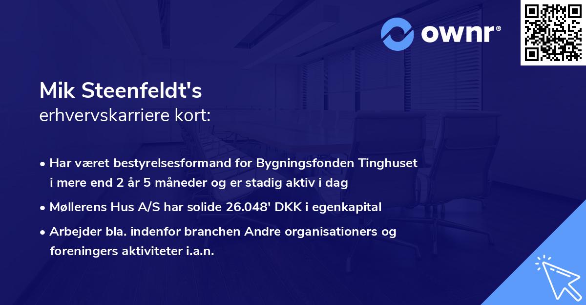Mik Steenfeldt's erhvervskarriere kort