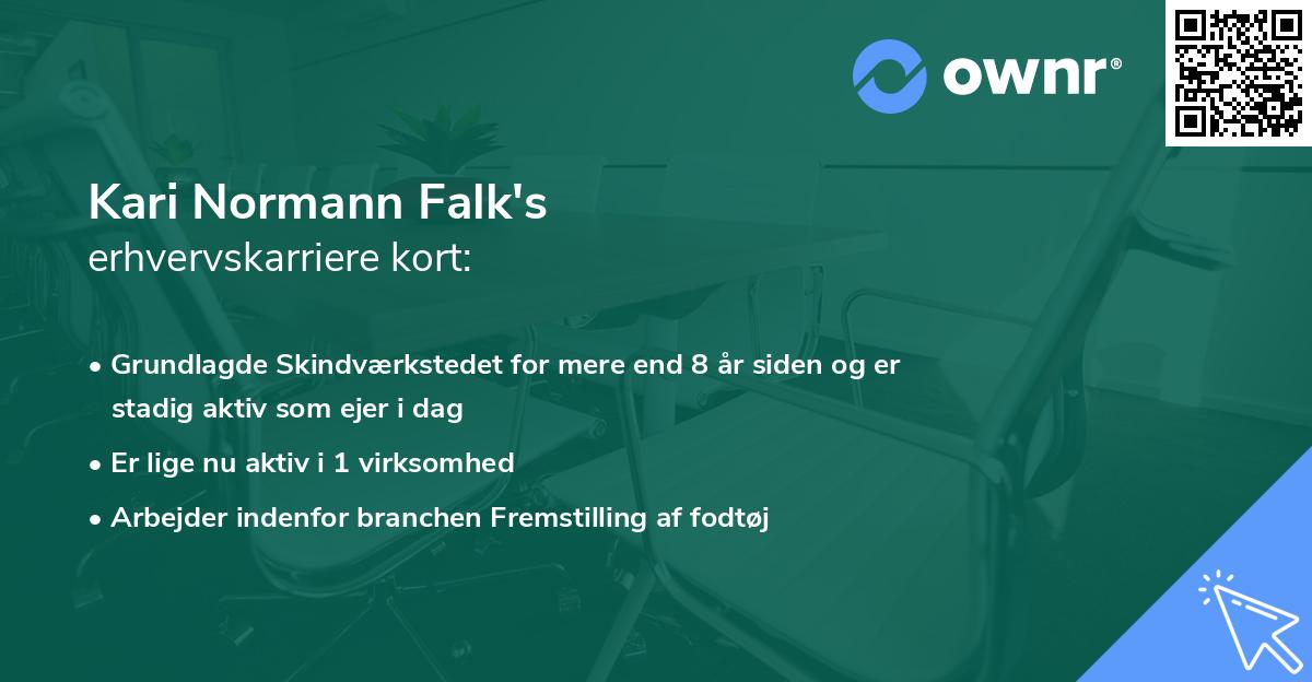 Kari Normann Falk's erhvervskarriere kort
