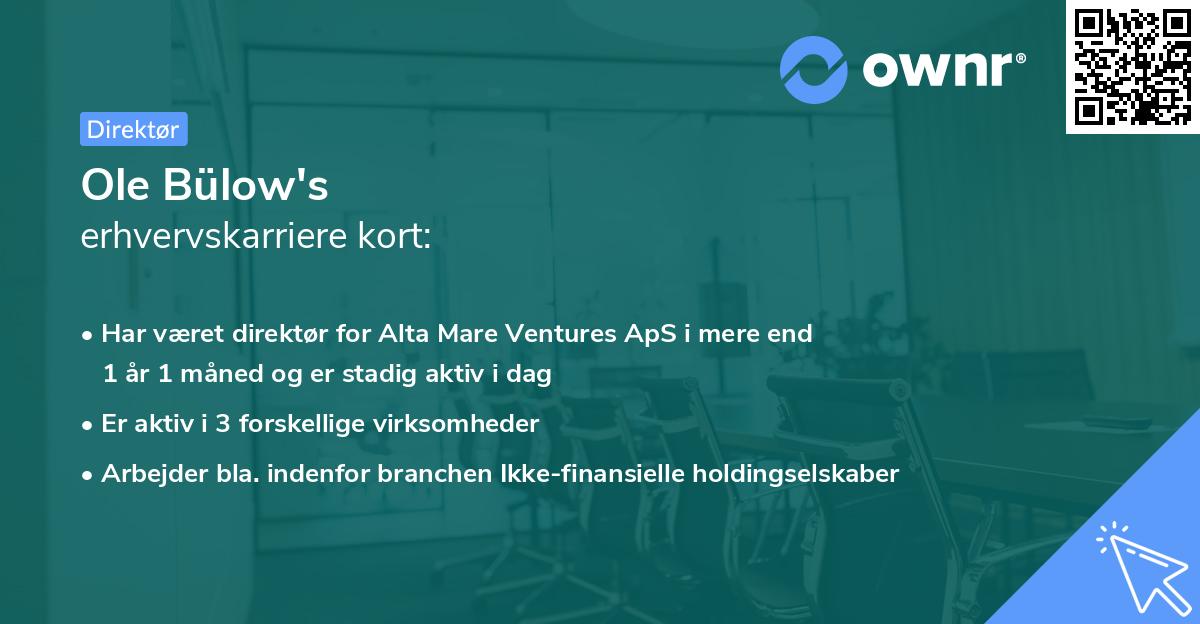 Ole Bülow's erhvervskarriere kort