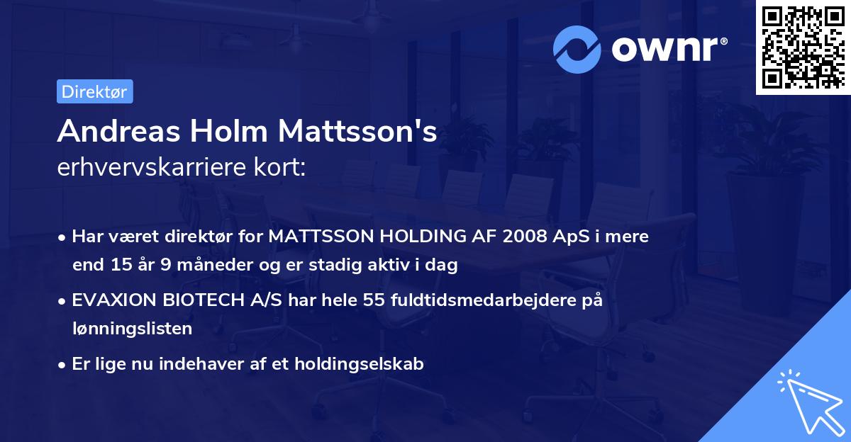 Andreas Holm Mattsson's erhvervskarriere kort